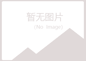 大同晓夏采矿有限公司